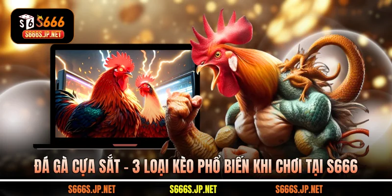 Đá Gà Cựa Sắt - 3 Loại Kèo Phổ Biến Khi Chơi Tại S666
