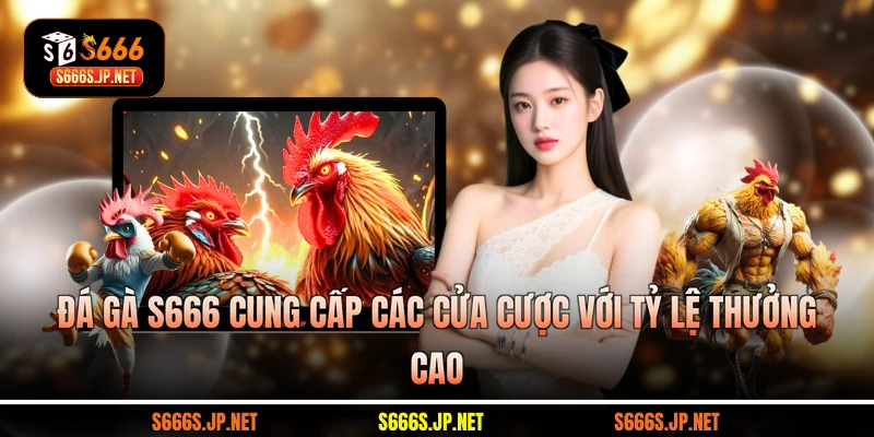 Đá gà S666 cung cấp các cửa cược với tỷ lệ thưởng cao