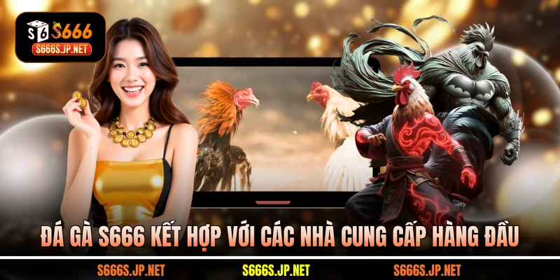 Đá gà S666 kết hợp với các nhà cung cấp hàng đầu