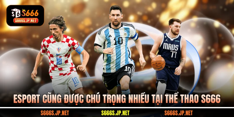 Esport cũng được chú trọng nhiều tại Thể thao S666