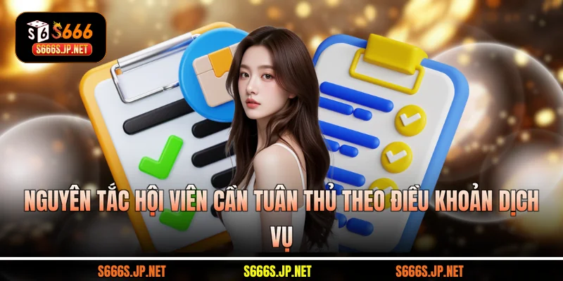 Nguyên tắc hội viên cần tuân thủ theo điều khoản dịch vụ