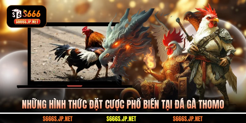 Những hình thức đặt cược phổ biến tại đá gà Thomo