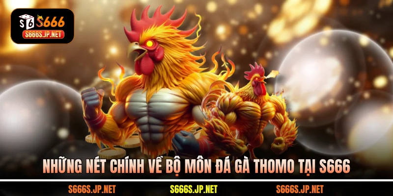 Những nét chính về bộ môn đá gà Thomo tại S666